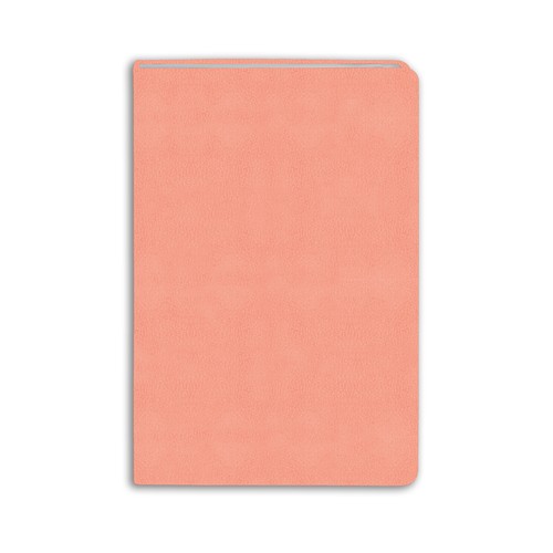 CARNET_SOFT PEACH_INE 21 - 2